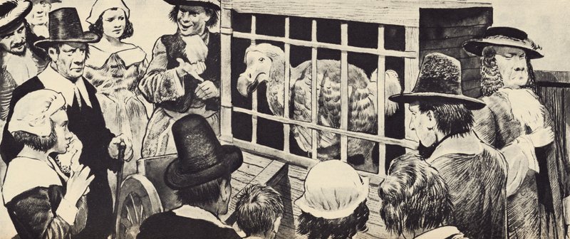 Dodo vystavený v Anglii sedmnáctého století (litho) od English School