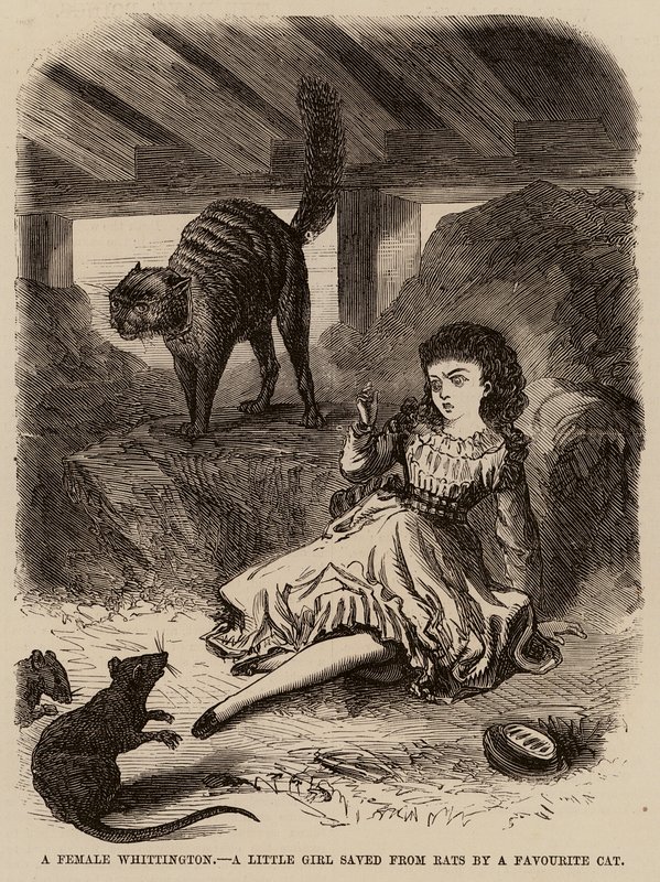 Fenka Whittington, holčička zachráněná před krysami oblíbenou kočkou (rytina) od English School