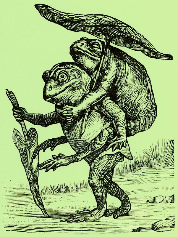 Laskavý manžel, ilustrace z Coles Funny Picture Book (digitálně vylepšený obrázek) od English School