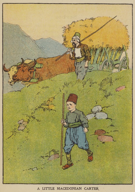 Malý makedonský povozník (barva litho) od English School