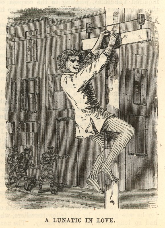 Zamilovaný šílenec od English School