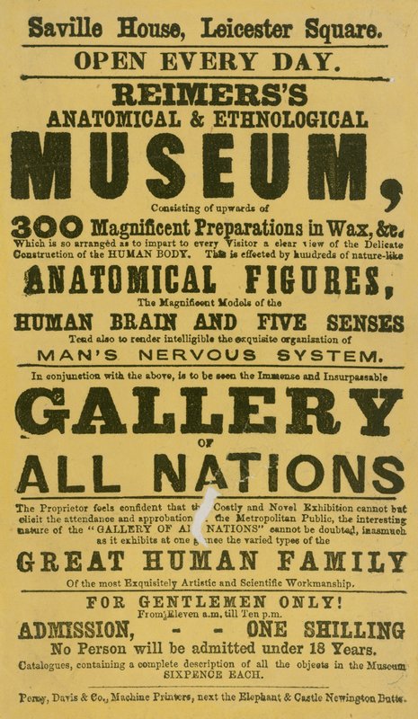Reklama na Reimerssovo anatomické a etnologické muzeum od English School