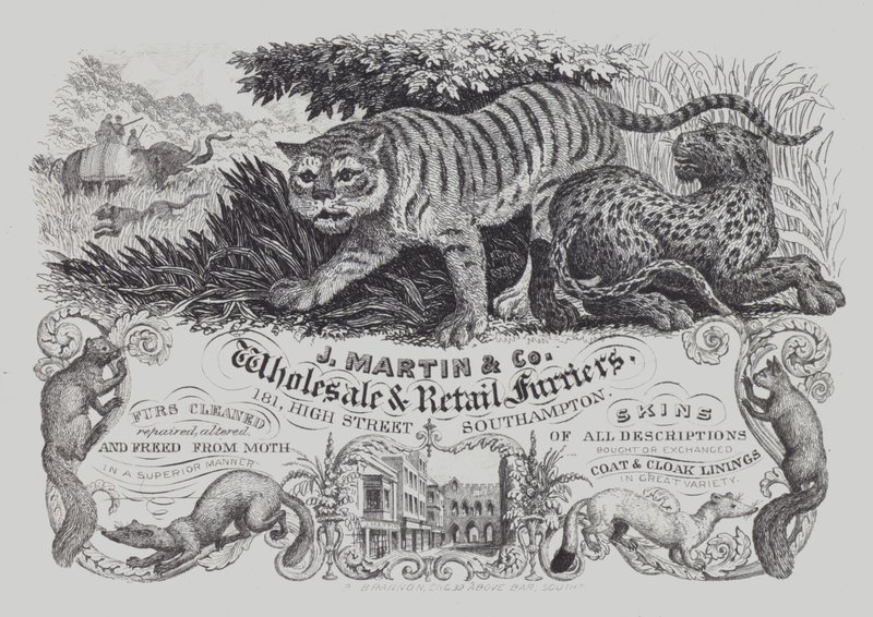 Reklama pro J Martin & Co, velkoobchodní a maloobchodní kožešníci, Southampton, Hampshire (litho) od English School