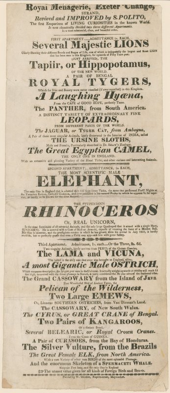 Reklama na Royal Menagerie, Exeter Change od English School