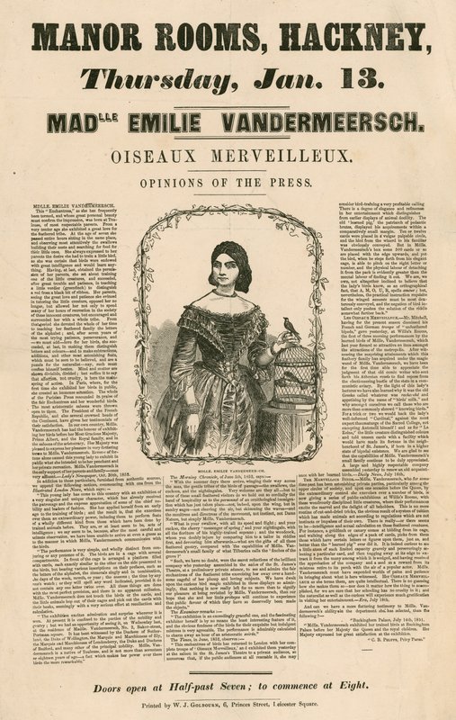 Reklama na vystoupení mademoiselle Emile Vandermeersch, Oiseaux Merveilleux v Manor Rooms, Hackney, Londýn od English School