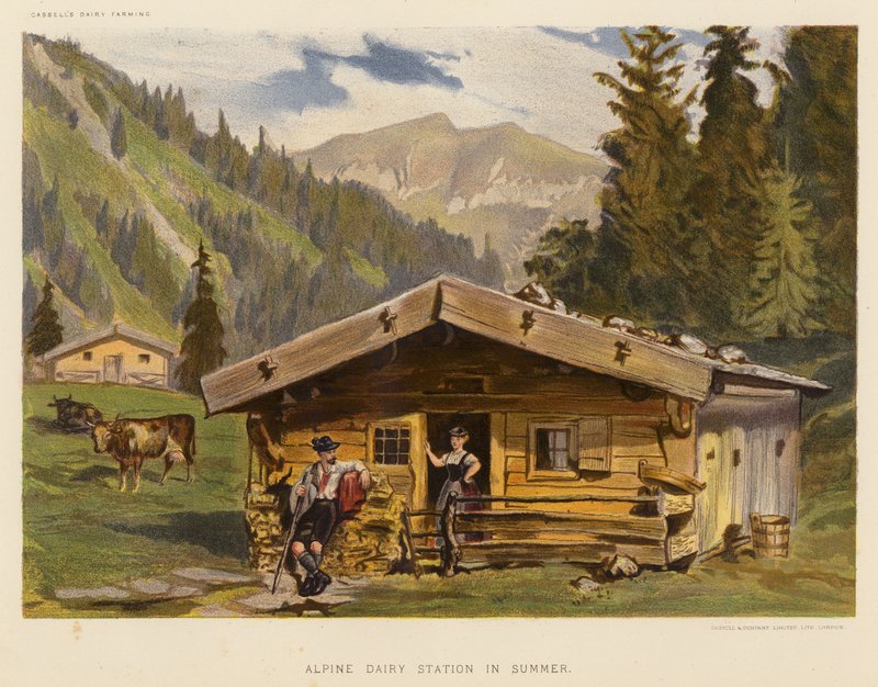 Alpská mléčná stanice v létě (barevná litografie) od English School