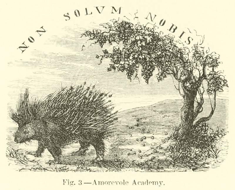 Milující akademie od English School