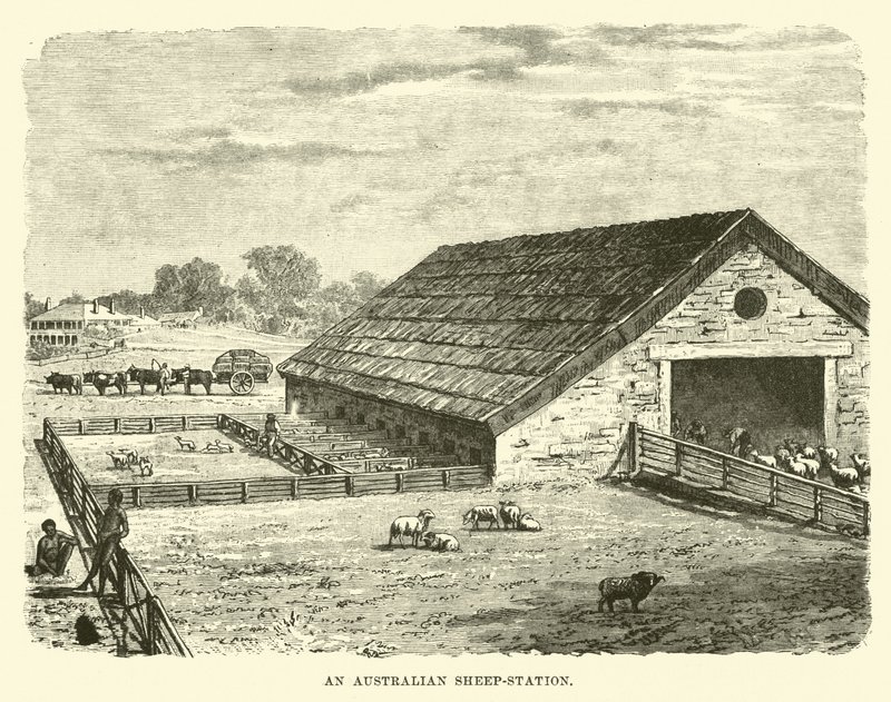 Australská ovčí stanice od English School