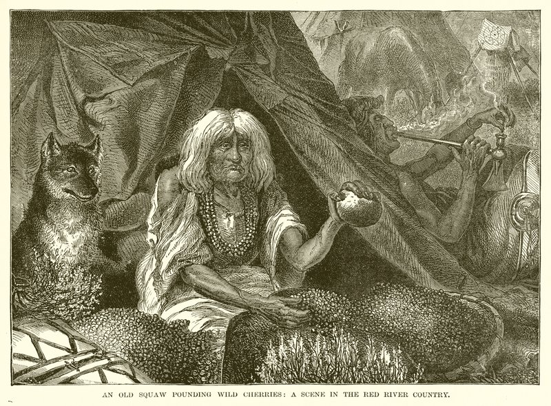 Stará squaw bušící do divokých třešní: Scéna v Red River Country od English School