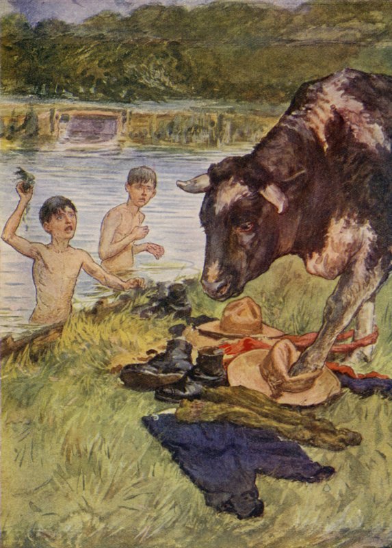 Nečekaný návštěvník (barevné lito) od English School
