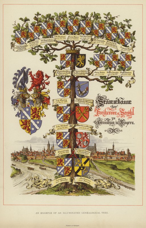 Příklad osvětleného genealogického stromu (barevné lito) od English School