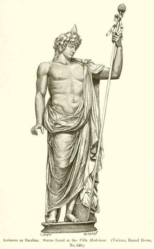 Antinous jako Bacchus. Socha nalezená ve vile Hadriana. (Vatikán, kulatá místnost, č. 540) od English School