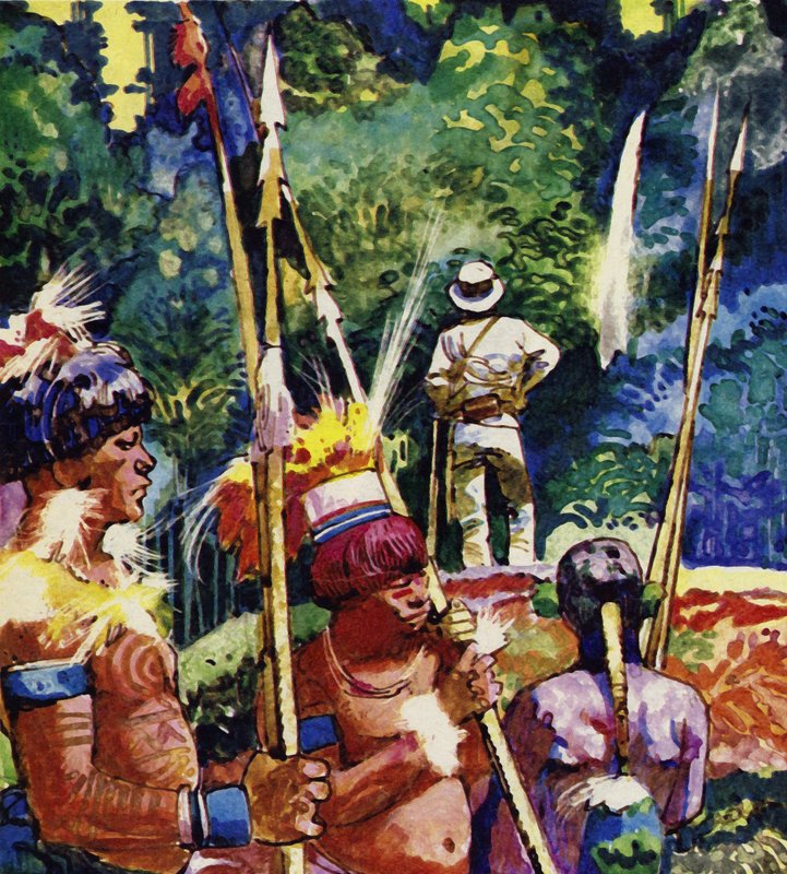 Antonio Raimondi dosáhl toho, co považoval za zdroj Amazonky od English School