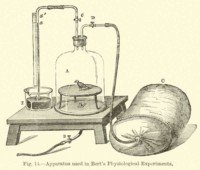 Přístroj používaný v Berts Physiological Experiments od English School