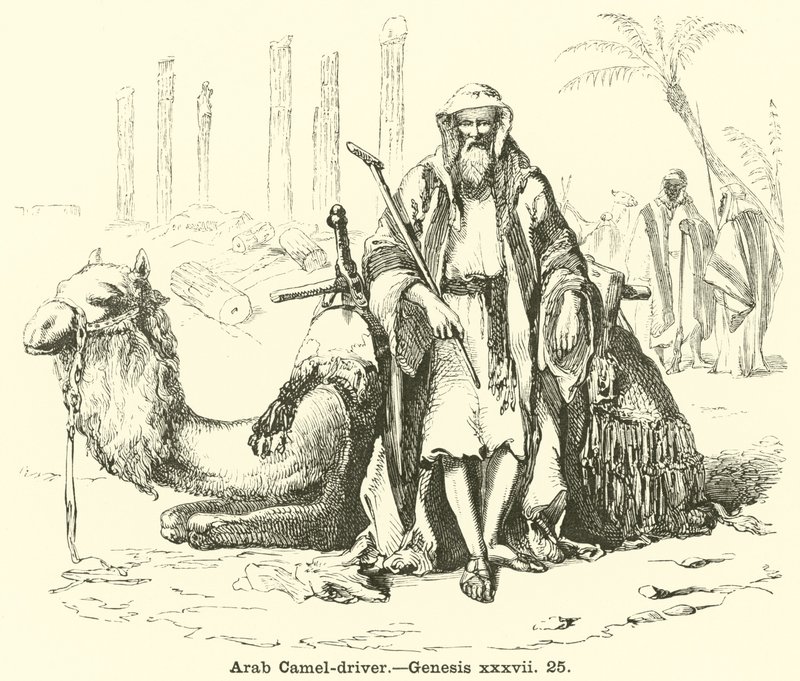 Řidič arabského velblouda, Genesis, xxxvii, 25 od English School