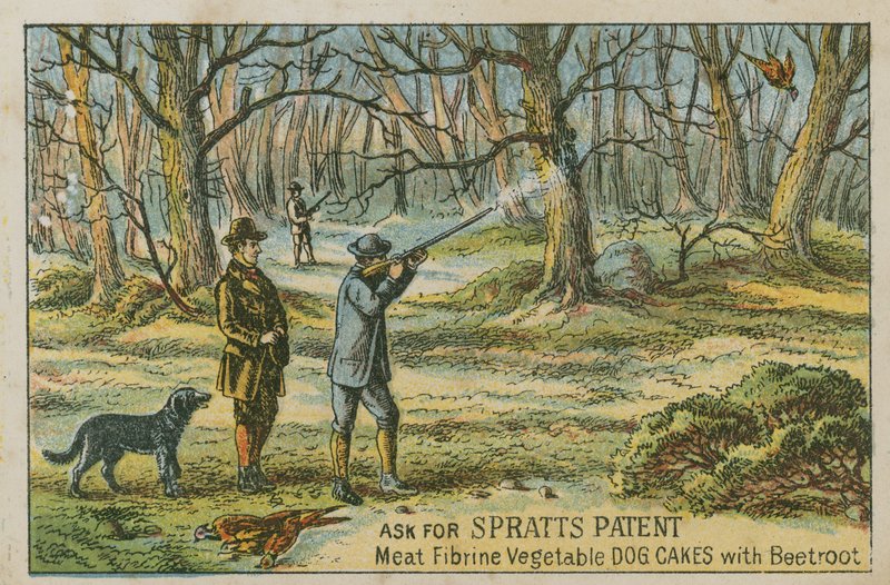 Požádejte o patent Spratts od English School