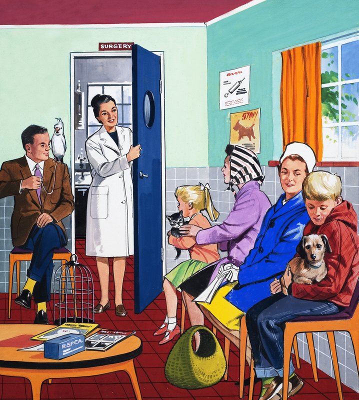 U veterinářů od English School