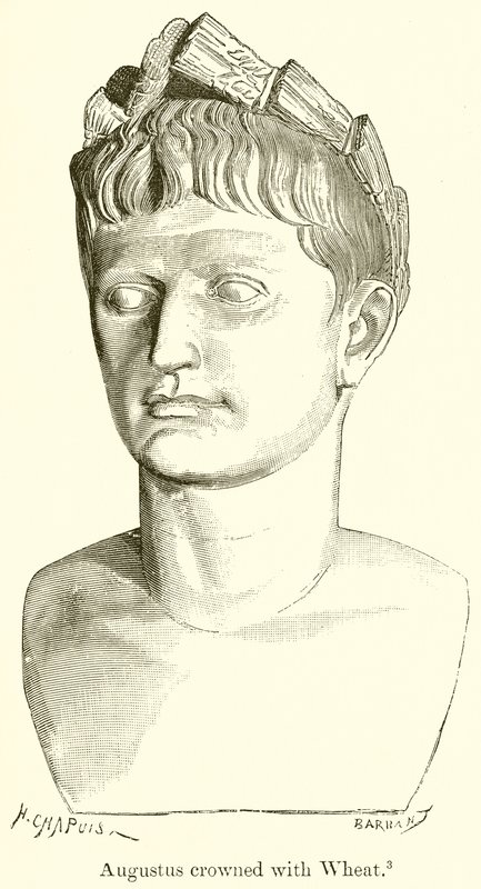 Augustus korunován pšenicí od English School