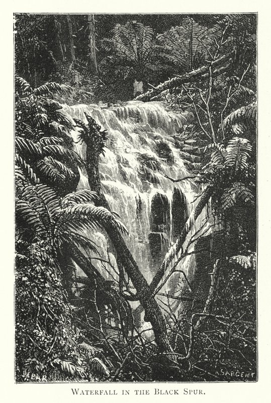 Austrálie: Vodopád v Black Spur (rytina) od English School
