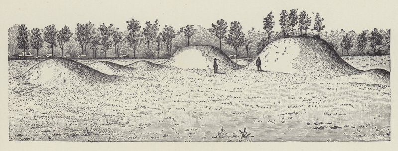 Avondale Mounds, okres Washington, Mississippi (litografie) od English School