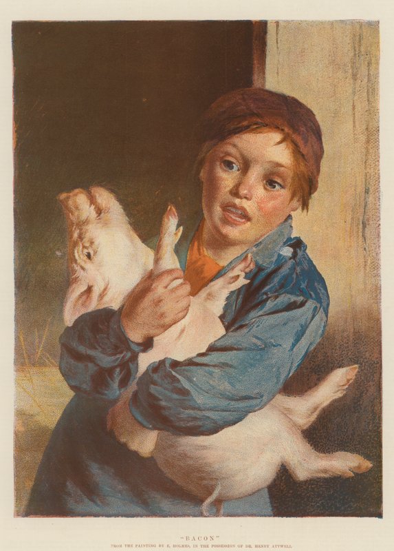 Bacon (chromolit) od English School