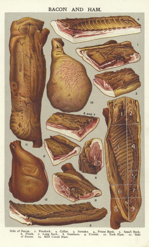 Slanina a šunka od English School