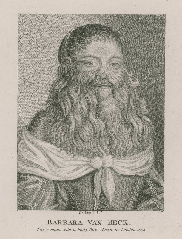 Barbara Van Beck, žena s chlupatým obličejem, zobrazena v Londýně, 1668 od English School