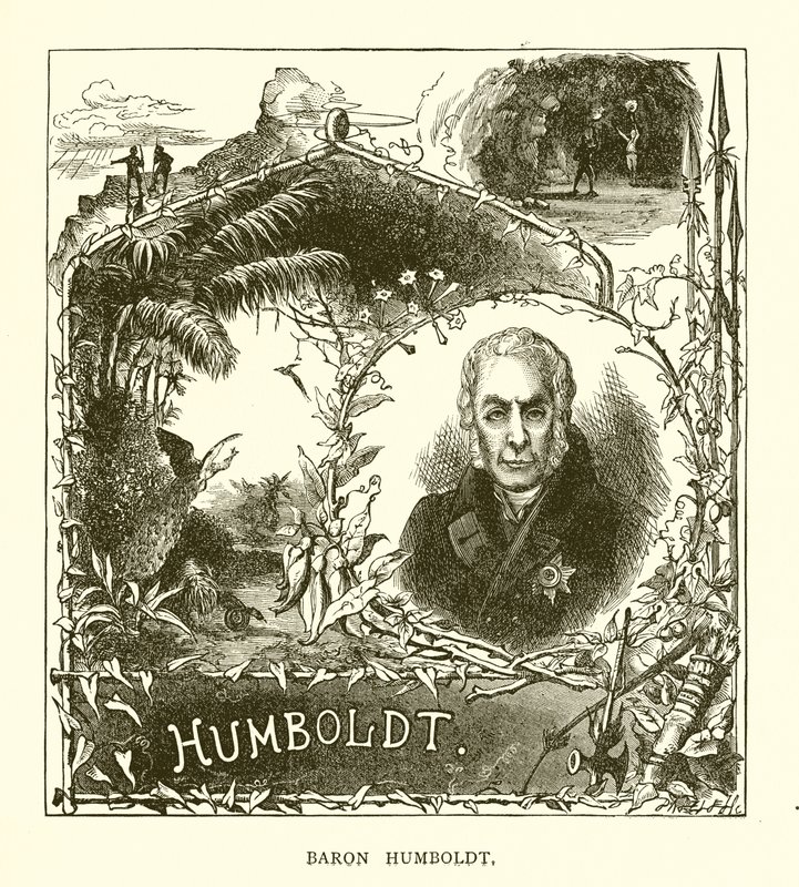 baron Humboldt od English School