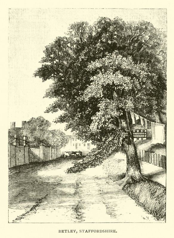 Betley, Staffordshire od English School