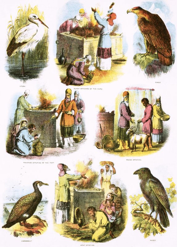 Biblické ilustrace od English School