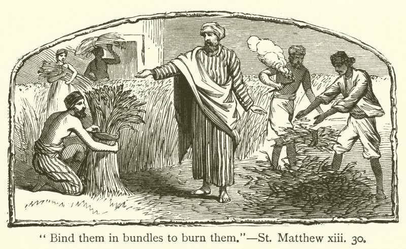 „Svažte je do svazků, abyste je spálili“, St Matthew, xiii, 30 (rytina) od English School