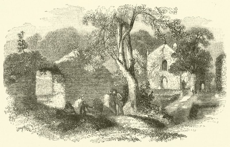 Bindon Abbey (rytina) od English School