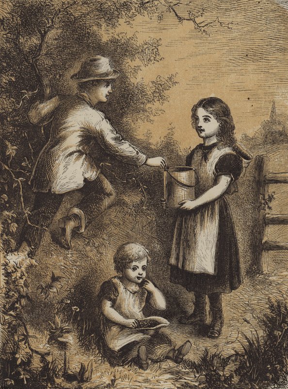 Blackberrying (barevné rytí) od English School