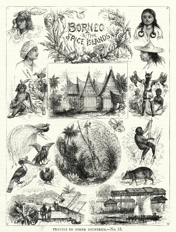Borneo a ostrovy koření (rytina) od English School