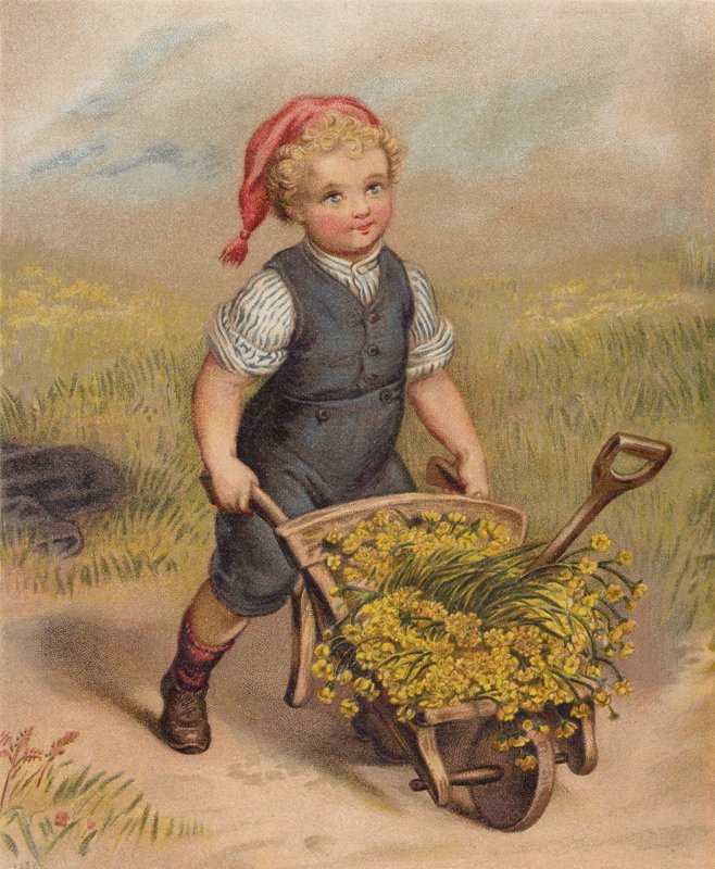 Chlapec tlačí trakař plný květin (chromolit) od English School