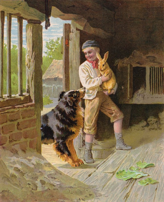 Chlapec se psem a králíkem na farmě (chromolitho) od English School