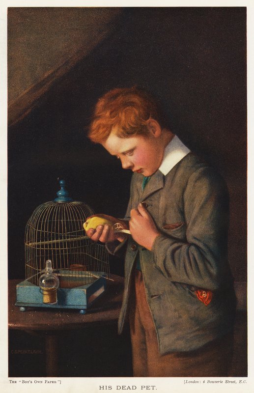 Chlapec se svým mrtvým kanárkem (barva litho) od English School