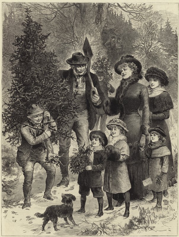 Přinést domů vánoční stromeček od English School