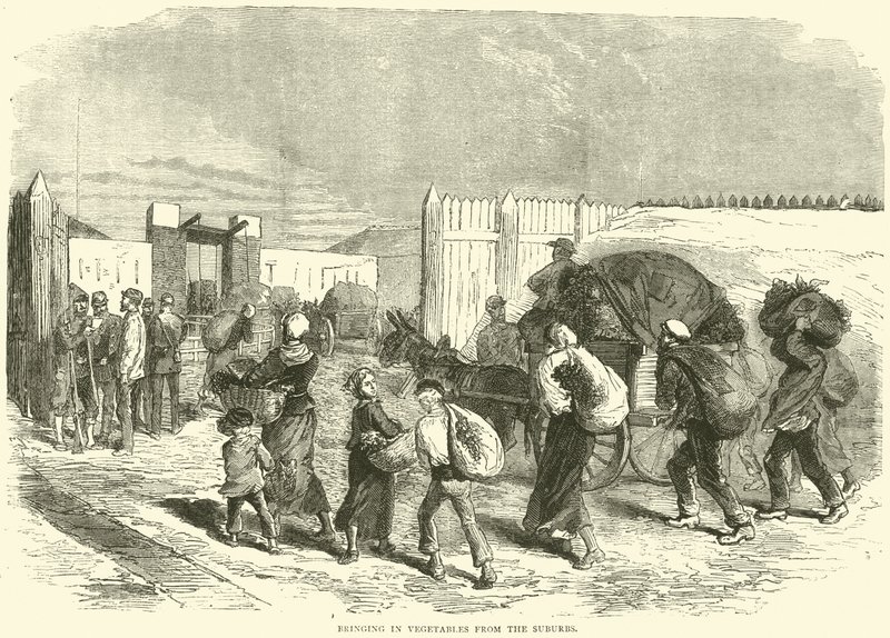 Dovoz zeleniny z předměstí, říjen 1870 od English School