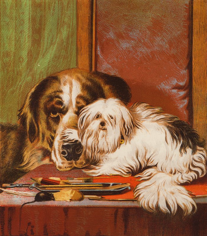 Bruno a Carlo (barevná litografie) od English School