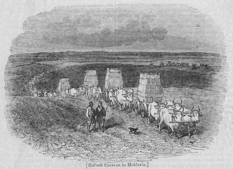 Bullock Caravan v Moldávii od English School