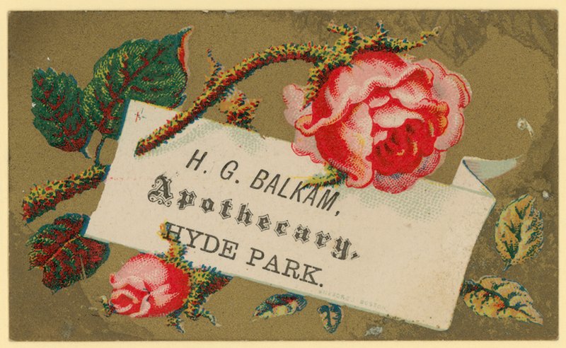 Vizitka pro H G Balkam, Apothecary, Hyde Park (chromo) od English School