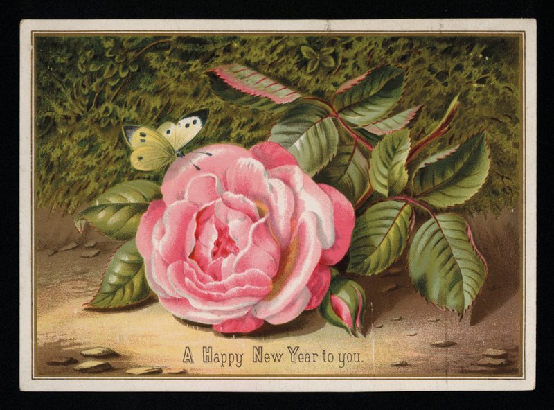 Motýl s růžovou růží, novoroční přání (chromolitho) od English School