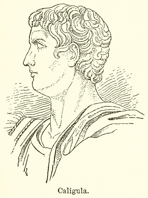 Caligula od English School