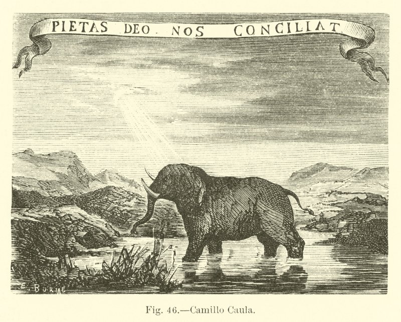 Camillo Caula od English School