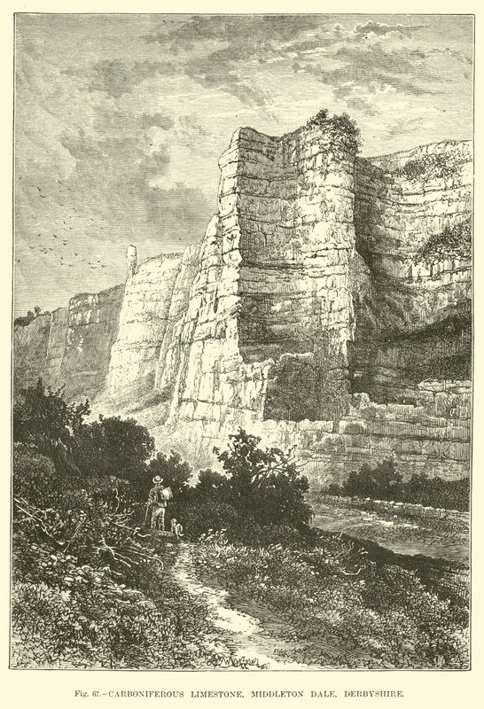 Carboniferous Limestone, Middleton Dale, Derbyshire od English School