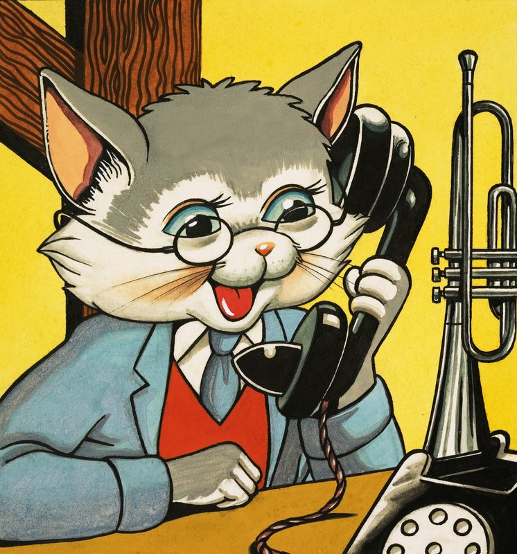 Kočka odpovídá na telefon od English School