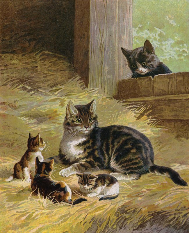 Kočka se svými koťaty ve stodole (chromolitho) od English School
