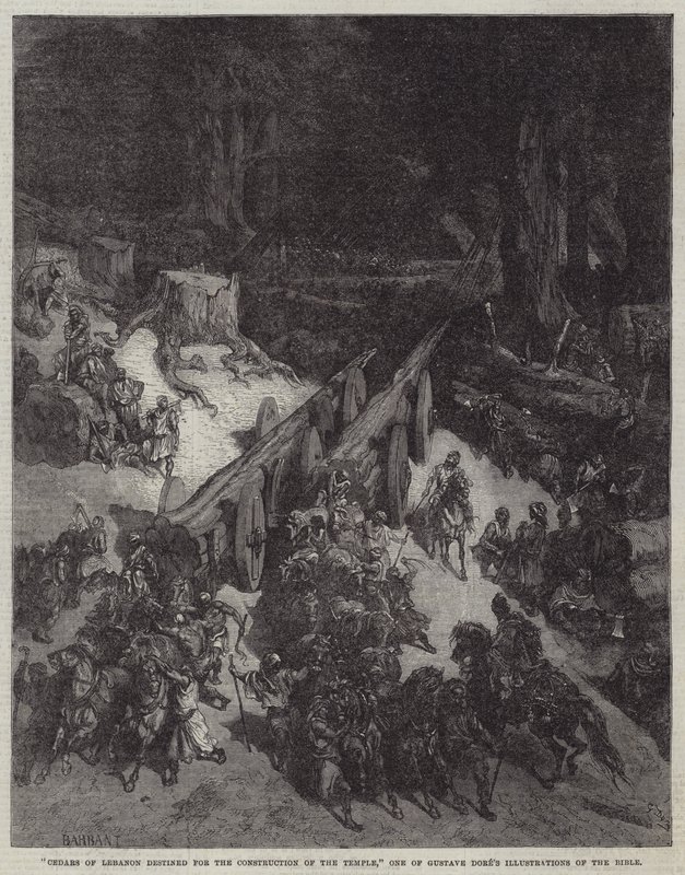 „Cedry z Libanonu určené ke stavbě chrámu“, jedna z ilustrací bible od Gustava Dorea (rytina) od English School