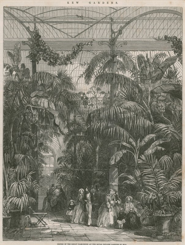 Centrum Great Palm House v Královské botanické zahradě v Kew od English School